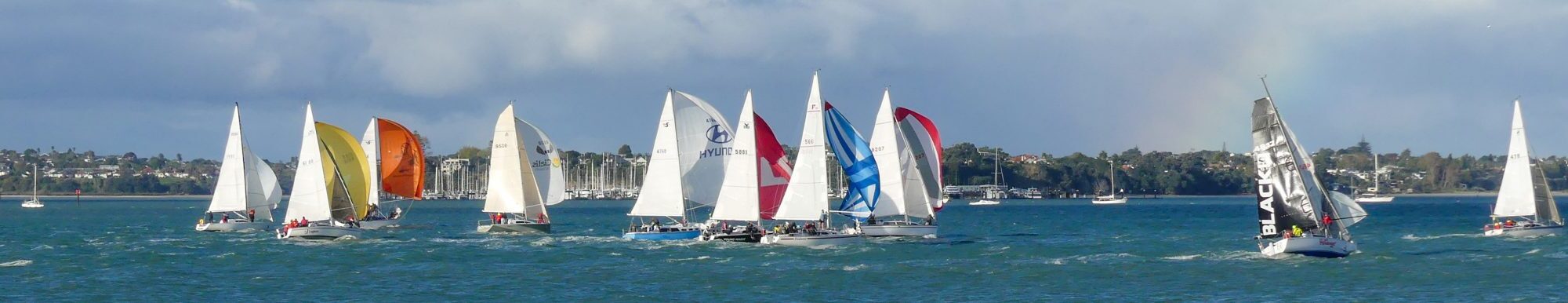 SpringregattaBanner20 SpringregattaBanner20